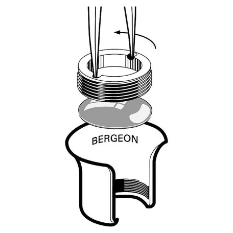 Bergeon lupé - 4422